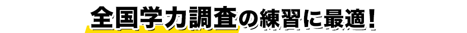 全国学力調査の練習に最適!