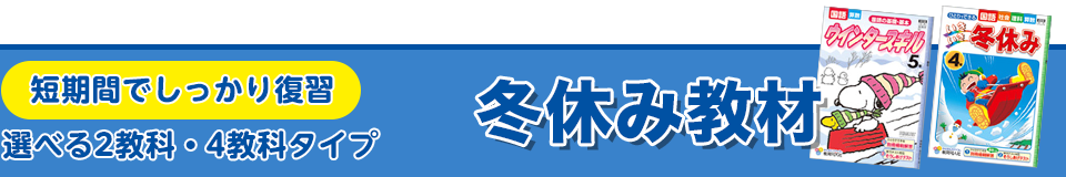 短期間でしっかり復習 選べる2教科・4教科タイプ 冬休み教材
