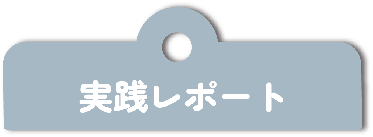 実践レポート